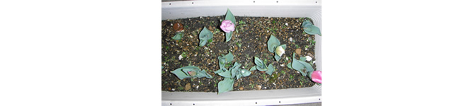 3月