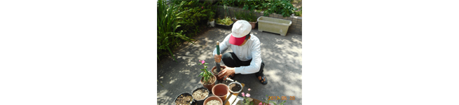 5月